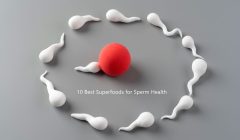 Best Superfoods for Sperm Health