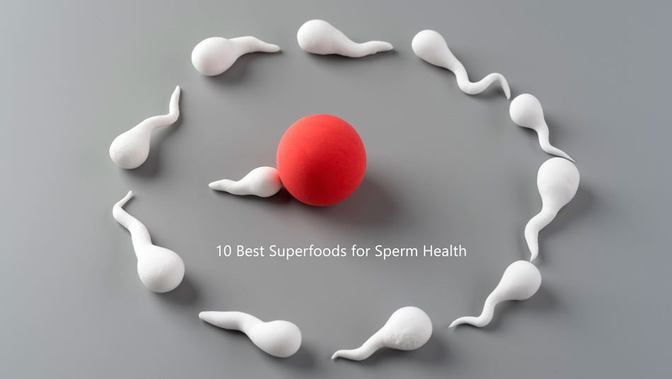 Best Superfoods for Sperm Health