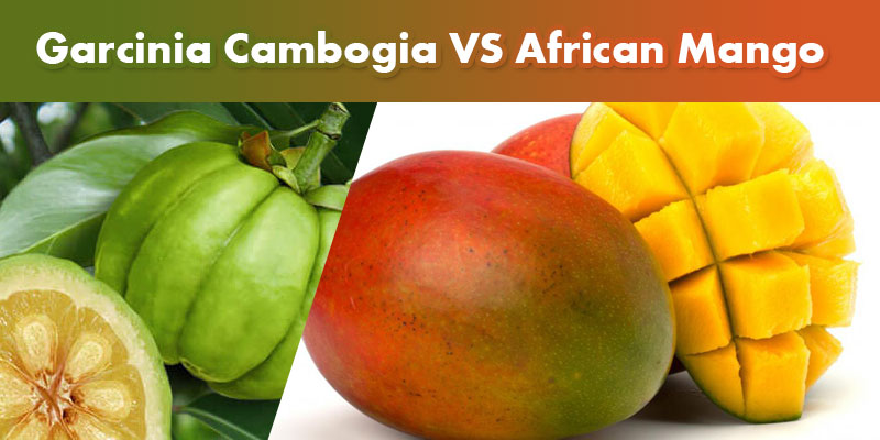 Garcinia Cambogia Vs. African Mango
