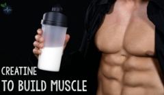 How Much Creatine Should I Take a Day to Build Muscle