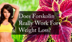 Does Forskolin Really Work For Weight Loss?
